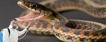 Yılan İlaçlama